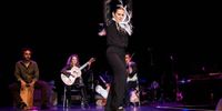 Flamenco Quartet Project