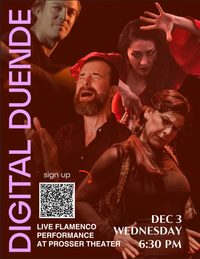 Digital Duende Flamenco Show