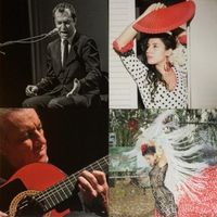 Isabel del Día Flamenco