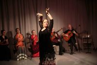 ¡Fiesta Flamenca!