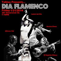 Dia Flamenco