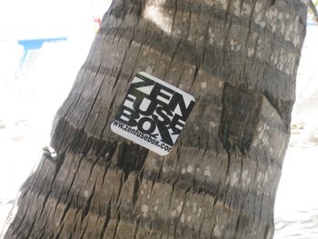 ZFB sighting in Roatan, Honduras
