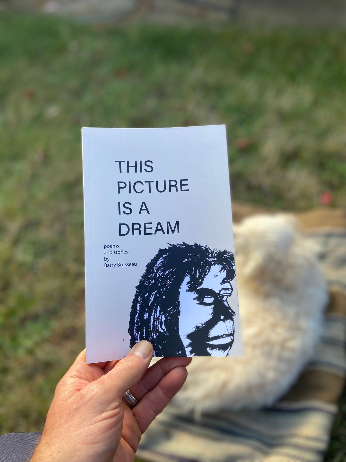 This Picture Is a Dream-softcover cream addition. 2025