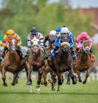 Dairyland's Finest String Band - Kentucky Derby Days
