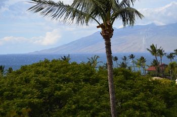 Hawaii
