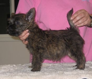 Sara at 8 weeks
