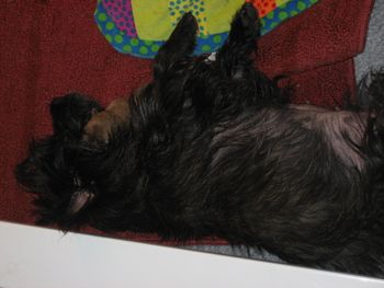 Molly with her singlton baby, Maggie
