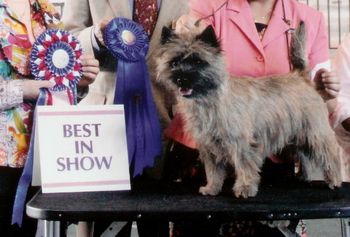 Ch YellowBrickRoad Wring of Fire BIS OIDFC 2/15/2010 BIS Judge Ms. Donna Buxton Grp Judge Mr. Joe Tacker
