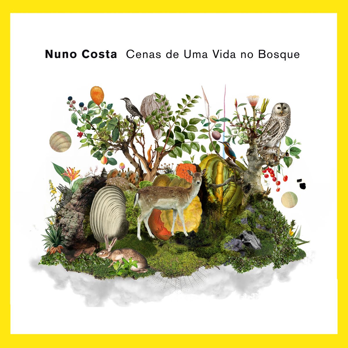 Cenas de Uma Vida no Bosque - CD