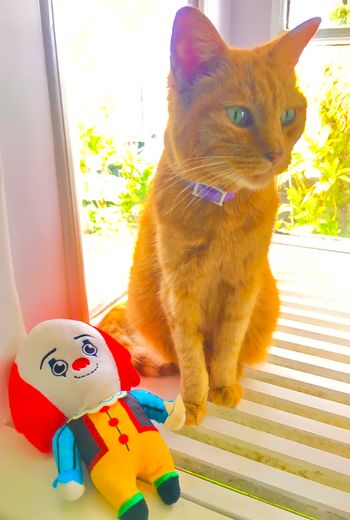 Miss D with Pennywise
