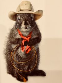 Squirrel Gravy (Countryfied)