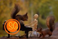 Squirrel Gravy