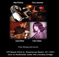 w/ "Firm Roots Quartet" (Lloyd Haber Group)