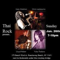 Lloyd Haber Group aka Firm Roots Quartet