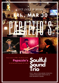 Soulful Sound TRIO w. Mala Waldron, James Rohlehr & Ron "Rondew" Monroe