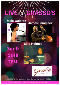 Trio w Mala Waldron, James Cammack (bs) & Ellis Holmes (dms)