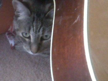 silvia on guitar....well behind guitar
