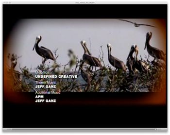 My screen credit for "Disaster In The Gulf..."
