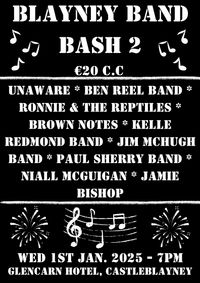 Blayney Band Bash 2 - Music Festival 2025
