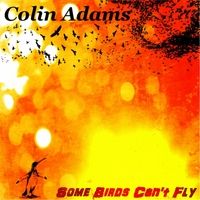 Some Birds Can't Fly by Colin Adams