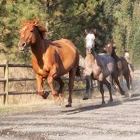 Red Horse Mountain Ranch