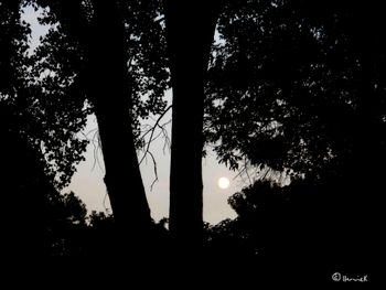 Śīlābhaṭṭārikā, India (aka Sila, Classical Sanskrit ca. 700-?), "We knew long evenings wet with the moon"  (Winter of Women Poets)
