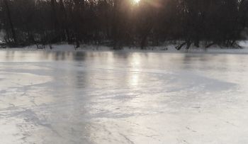 January, Coming Dusk, Leigh Herrick, Small Doc
