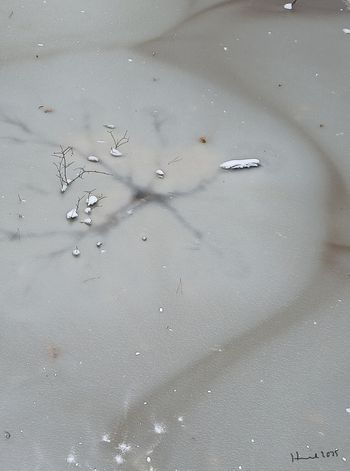 Autobiography of Forming Ice
