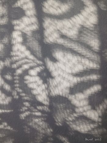 Shadow on the Wall
