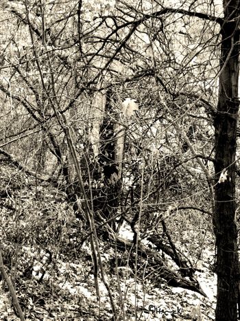 Natalya Gorbanevskaya, Russia (1936-2013), "Oh how am I to reach you"  (Winter of Women Poets)
