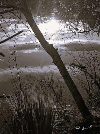Reflection 2
