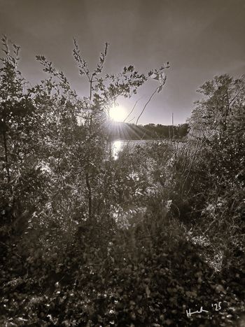 Autobiography of Sun
