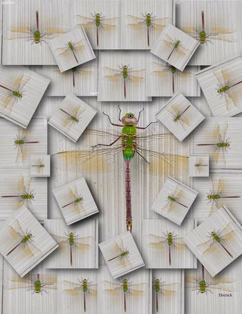 The Wayward Intention of Nature (Mail Art)
