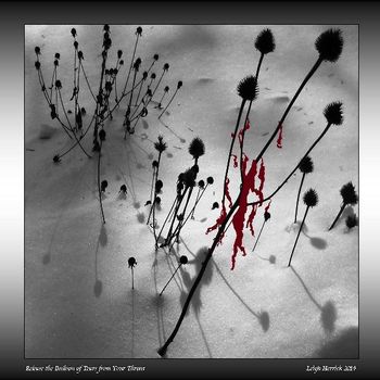 Release the Balloon of Tears from Your Throat, Leigh Herrick, Small Doc
