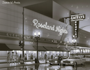 Roseland Nights