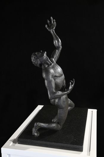 Why - Limited Edition Bronze
