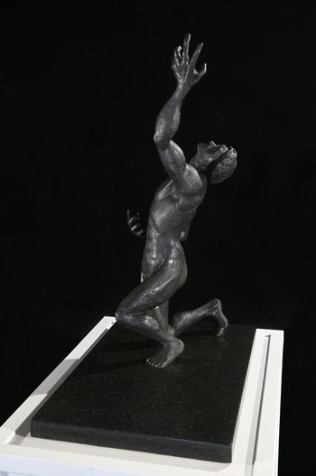Why - Limited Edition Bronze

