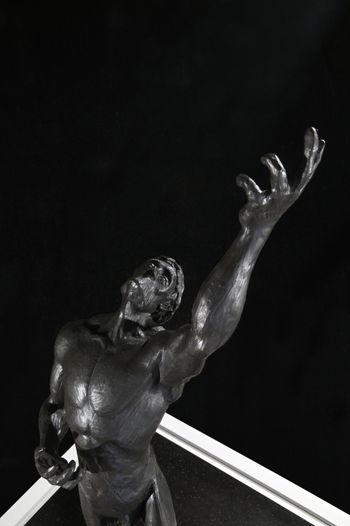 Why - Limited Edition Bronze
