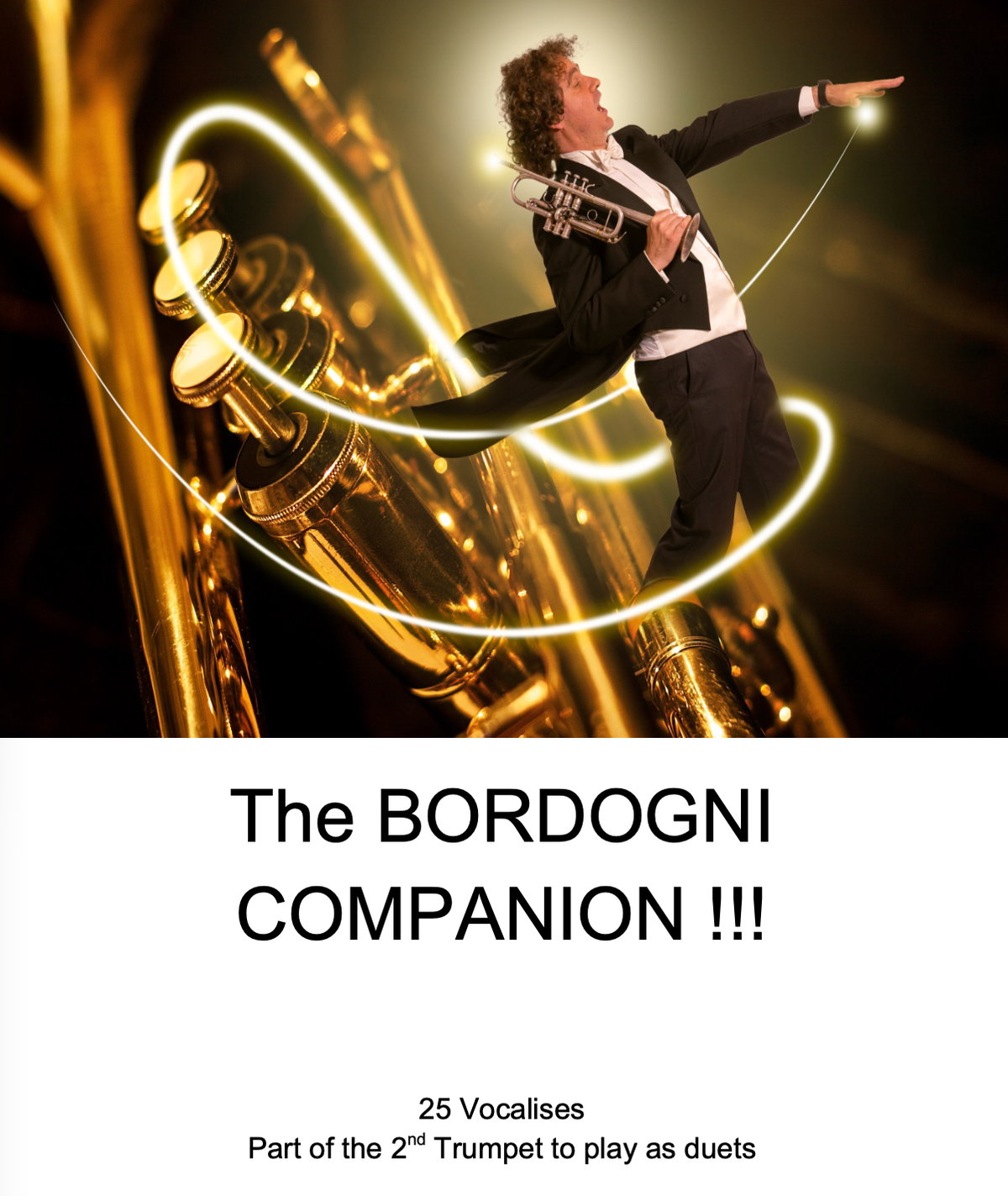 The BORDOGNI Companion - PDF