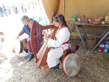 dscn2003_1 Lissa-Kathe - Australian Celtic Festival 2015 1
