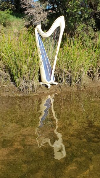 Catalina Reflections Photo - Scott Rawstorne©
