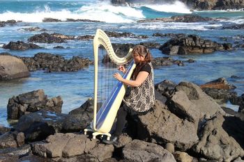 Sea Strings at Boulder Beach
