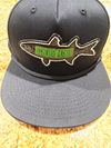Snapback Hat
