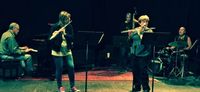 Ali Ryerson Flute Seminar