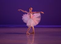Central PA Youth Ballet Founder's Series