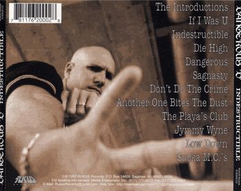 DANGEROUS D - CD-INDESTRUCTIBLE-BACK-A
