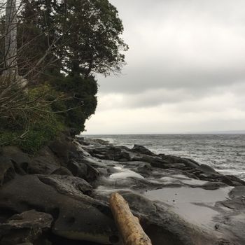 IMG_3387 Hornby Island, Xmas 2016, visiting Amnon
