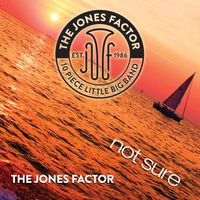 Not Sure by John Fumasoli and the Jones Factor