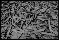 Remembering the Rwandan Genocide: 20th anniversay
