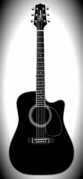 Takamine
